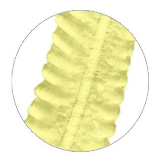 Charlotte à Cheveux Jetable OneProtek Jaune - Taille Unique